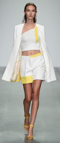 David_Koma_SS15_Look_1.jpg
